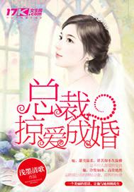 总裁掠爱100天末册版