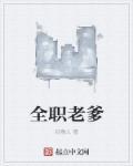 全职爸爸原著