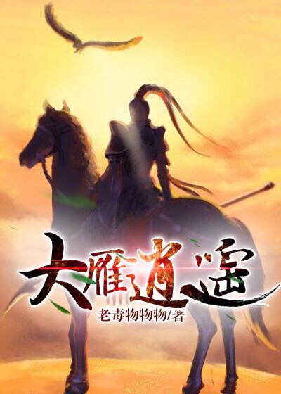 大雁视频