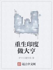 重生之印度大财团