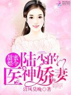 遥望行止免费听书