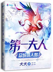 第一夫人总统请入赘免费阅读