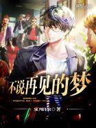 不说再见 mv