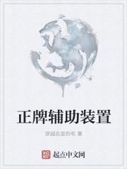 啥是辅助装