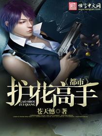 都市护花高手刘天瑞