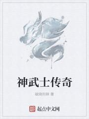 传奇世界 神武套