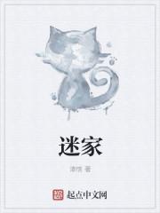 米加世界更新版