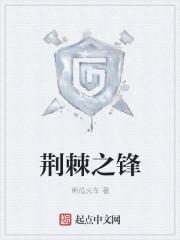 荆棘与锋芒