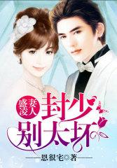 封少盛宠宝贝妻