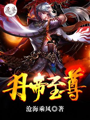丹帝至尊陆辰