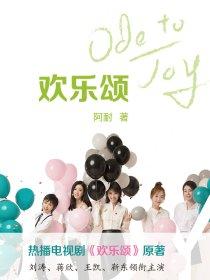欢乐颂一季