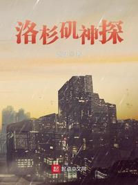 洛杉矶神探完整版
