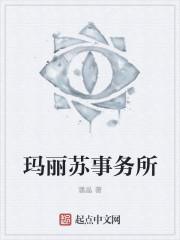 玛丽苏文