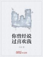 你说你曾经爱过我是什么歌
