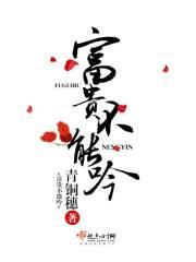 富贵不能吟228章