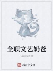 全职奶爸是什么意思