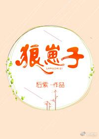 速度与激情狼崽子