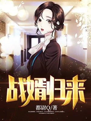 战婿归来阅读