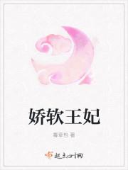 娇软四王妃的别名
