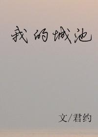 我的城池营垒电视剧在线观看免费