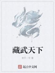 藏武才书法
