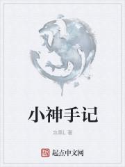 小神游戏解说