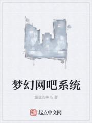 网吧梦幻西游