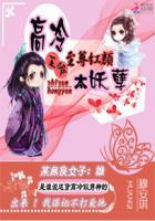 至尊红颜免费阅读