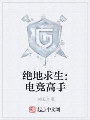 pubg绝地求生