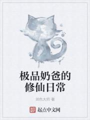极品奶爸txt