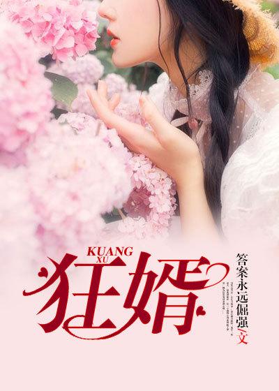 至尊鉴宝狂婿