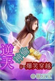 逆天神偷:爆笑穿越